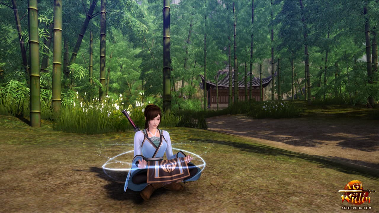 aow_screenshot_-meditation