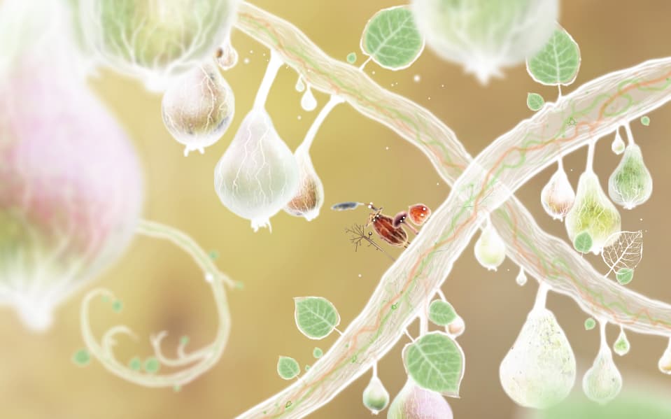 botanicula-03