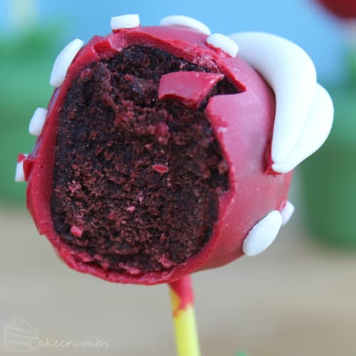 fleischfressende-pflanze-cakepop7