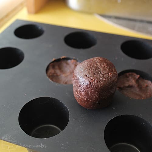 fleischfressende-pflanze-cakepop9