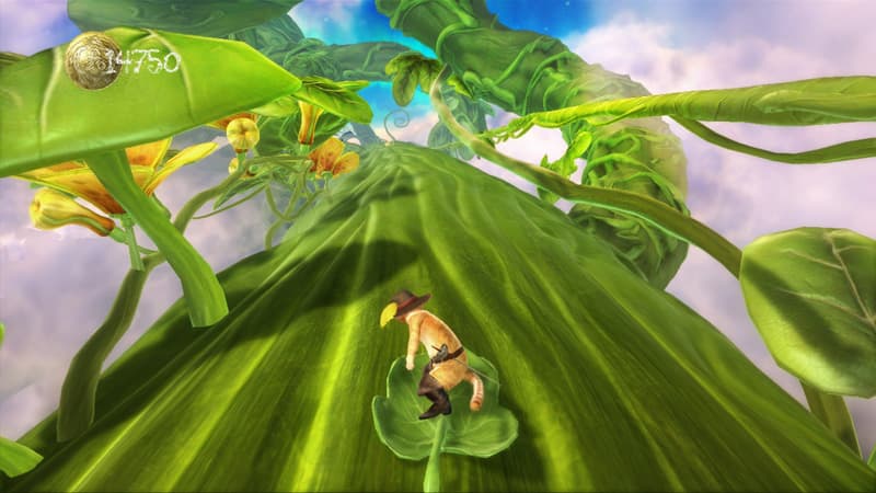 beanstalk