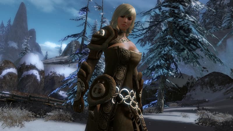 guildwars2-bild2