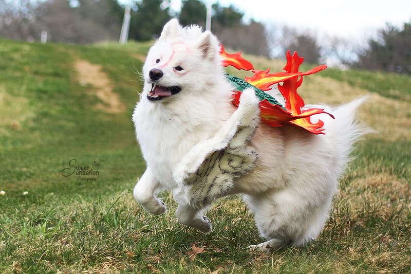amaterasu