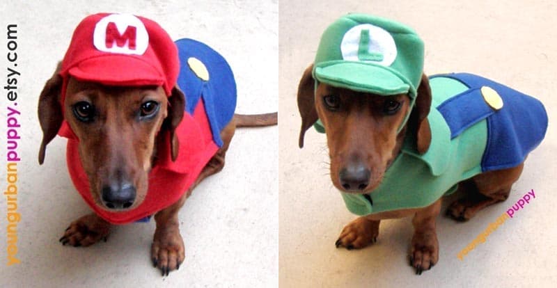 mario-dog