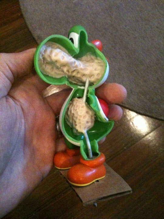 yoshi-bild3