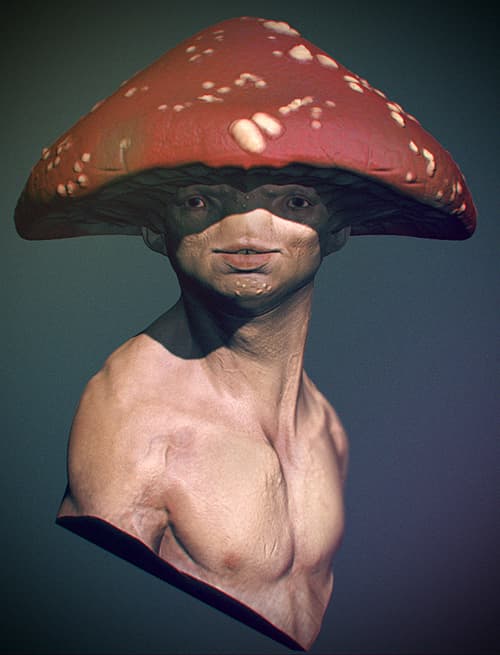 toad03