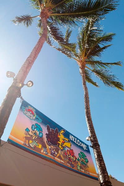 Hundreds of PokÃ©mon fans from all over the world are participating in the 2012 PokÃ©mon TCG World Championships taking place at the Hilton Waikoloa Village Friday, Aug. 10, 2012, in Waikoloa, Hawaii. The world champion PokÃ©mon card player and video game player will be crowned this Sunday.  Photo By PokÃ©mon World Championships