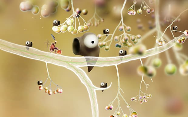 botanicula-01