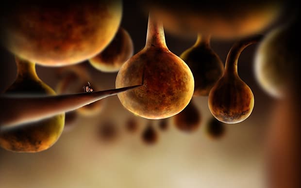 botanicula-09
