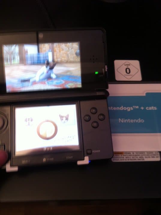 3d-event-bild4